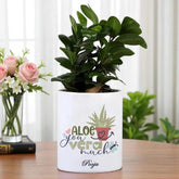 Personalised Ficus Compacta with Unique Touch